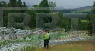 Tangle Wire Tape Security