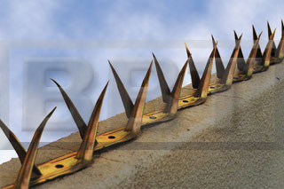 Wall Spikes